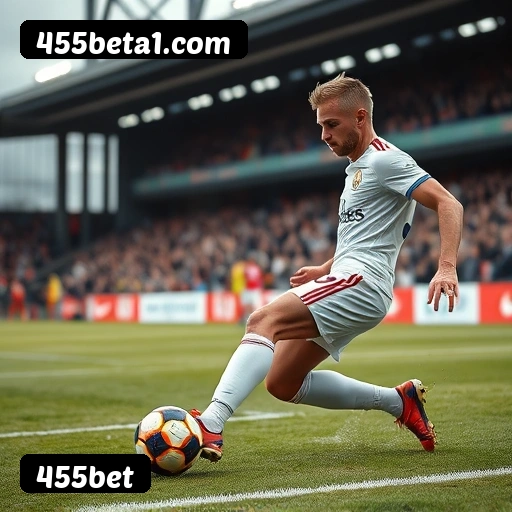 Níveis do programa VIP da 455bet